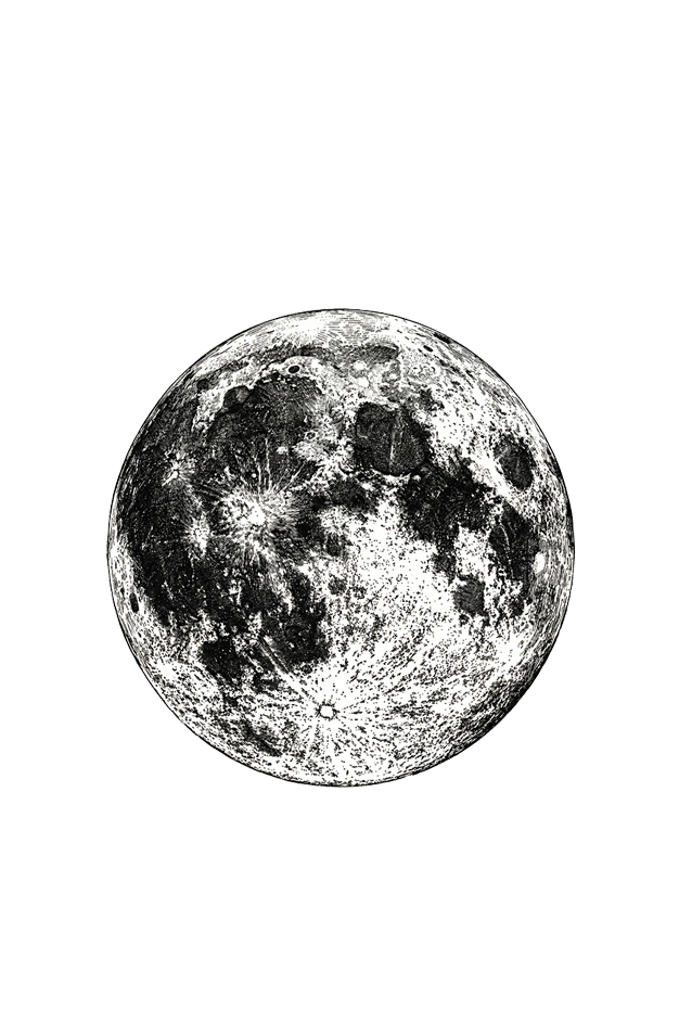 Logo Les Enfants Sauvages